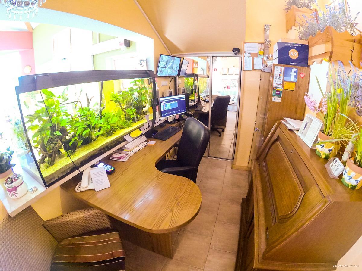 Hotel Krak ميشلينيتسه المظهر الخارجي الصورة