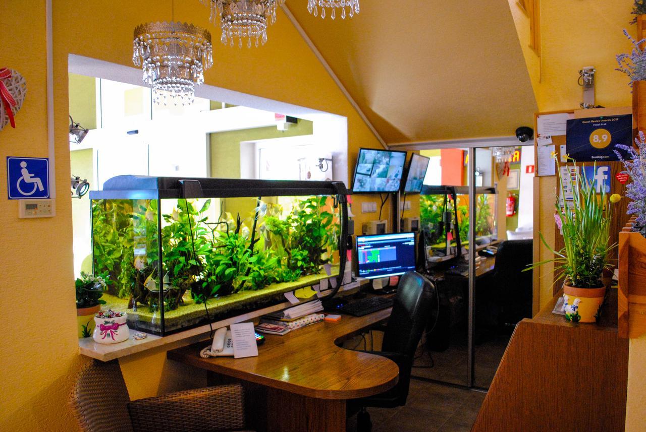 Hotel Krak ميشلينيتسه المظهر الخارجي الصورة